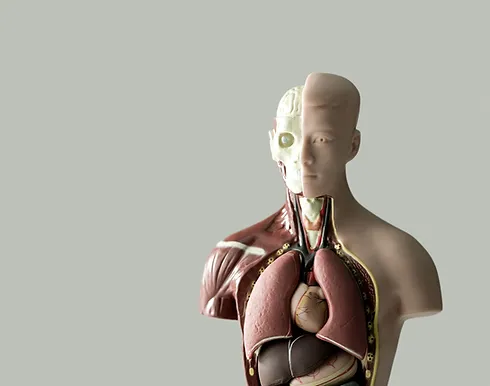 anatomia patologica